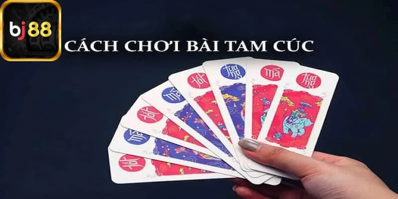 Giới thiệu tổng quan về cách chơi bài tam cúc